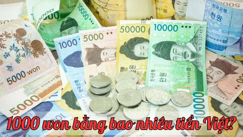 1000 won bằng bao nhiêu tiền Việt? Tỷ giá cập nhật mới nhất