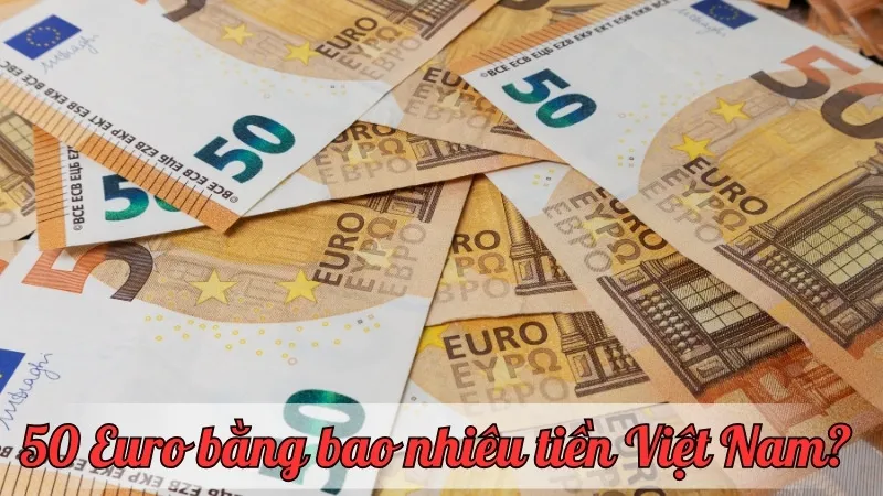 50 Euro bằng bao nhiêu tiền việt nam? Cập nhật tỷ giá mới nhất