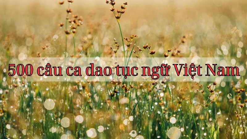 Khám phá 500 câu ca dao tục ngữ Việt Nam - Bộ sưu tập đầy đủ và ý nghĩa