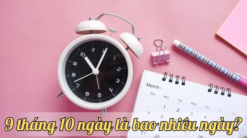 9 tháng 10 ngày là bao nhiêu ngày? Cách tính ngày chính xác nhất