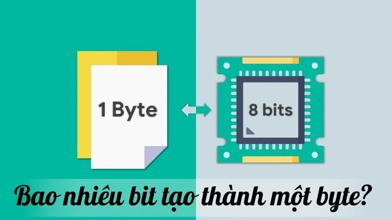 Bao nhiêu bit tạo thành một byte? Hướng dẫn chi tiết về đơn vị lưu trữ