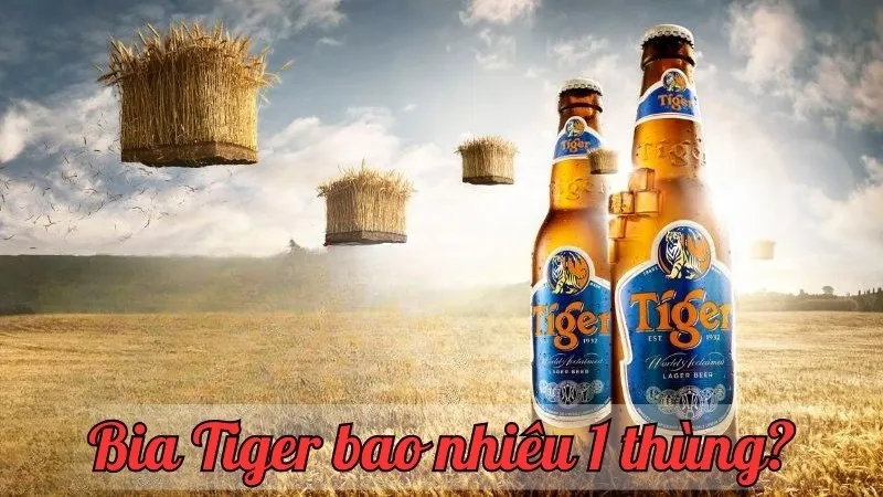 Bia Tiger bao nhiêu 1 thùng? Giá mới nhất và những thông tin cần biết