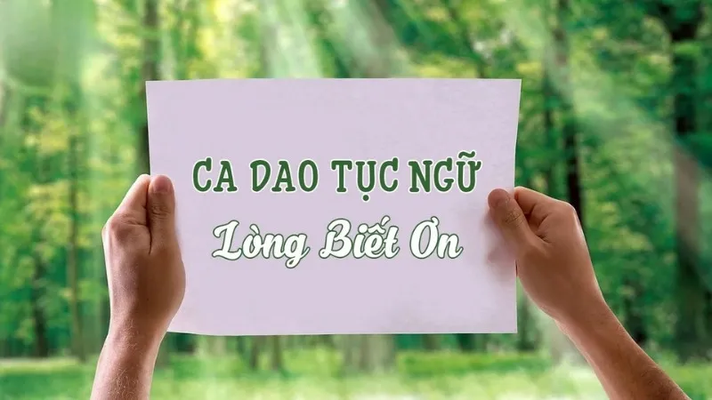 50 câu ca dao tục ngữ về lòng biết ơn hay và ý nghĩa nhất