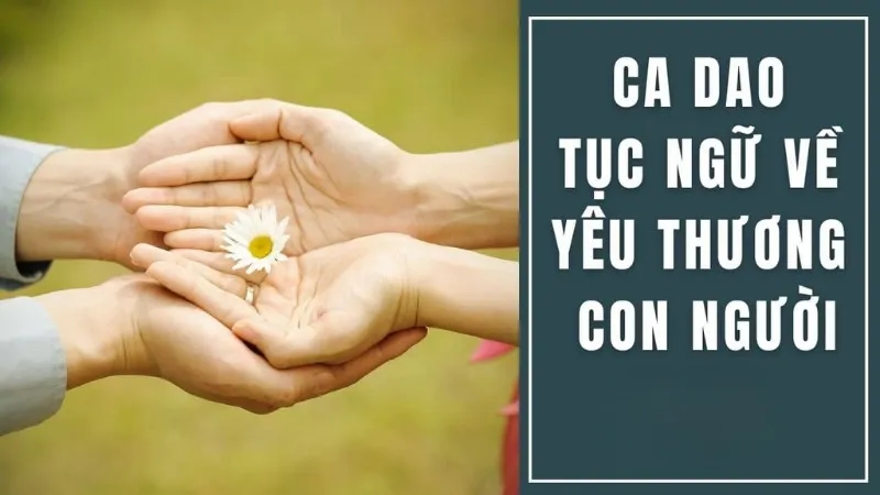 Khám phá 50 câu ca dao tục ngữ về yêu thương con người hay nhất