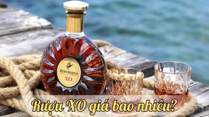 Rượu XO giá bao nhiêu? Tìm hiểu chi tiết giá cả các dòng rượu XO hiện nay