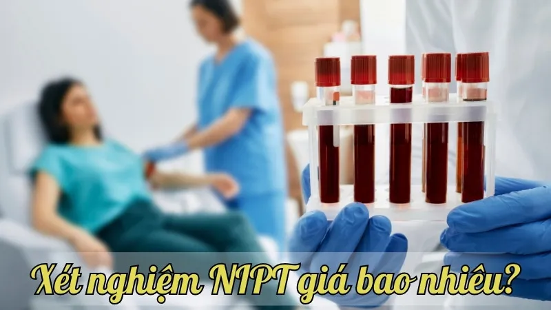 Xét nghiệm NIPT giá bao nhiêu? cập nhật mới nhất năm nay