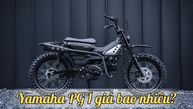 Yamaha PG 1 giá bao nhiêu? Những yếu tố ảnh hưởng đến giá cả