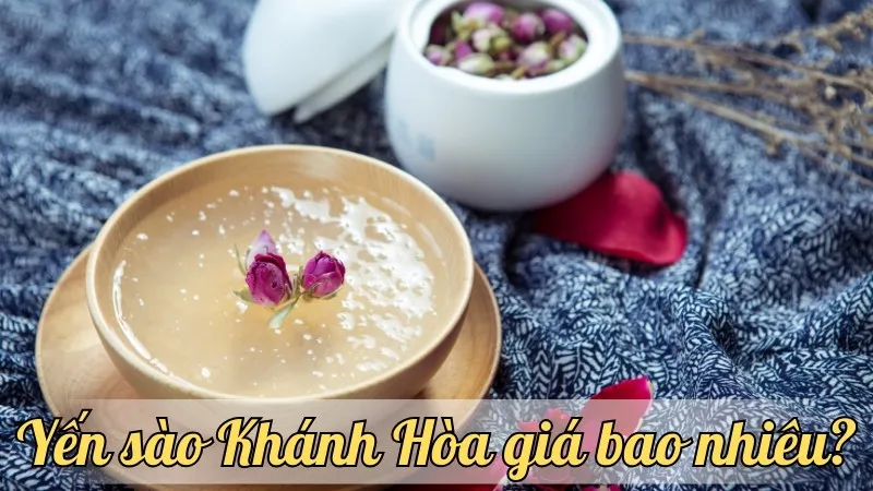 Yến sào Khánh Hòa giá bao nhiêu? Tìm hiểu bảng giá mới nhất năm nay