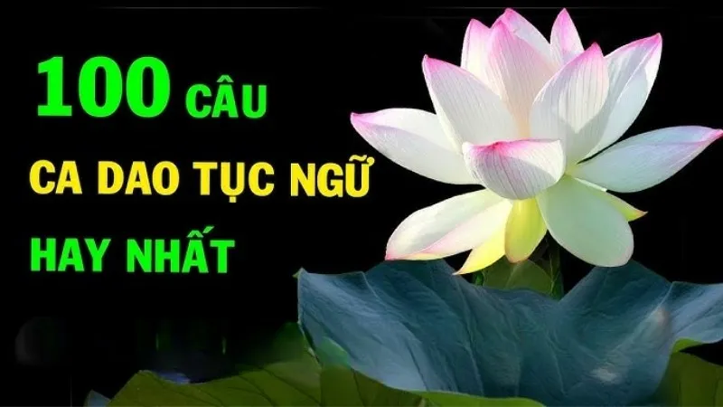 Tổng hợp 100 câu ca dao tục ngữ việt nam phản ánh đời sống dân gian