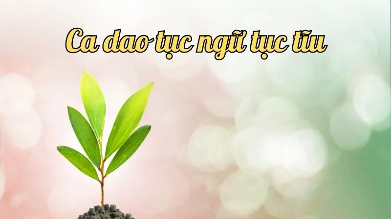 Khám phá những câu ca dao tục ngữ tục tĩu đặc sắc và ấn tượng 