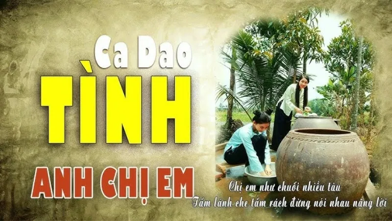 Tổng hợp 100+ câu ca dao, tục ngữ về anh chị em hay nhất 