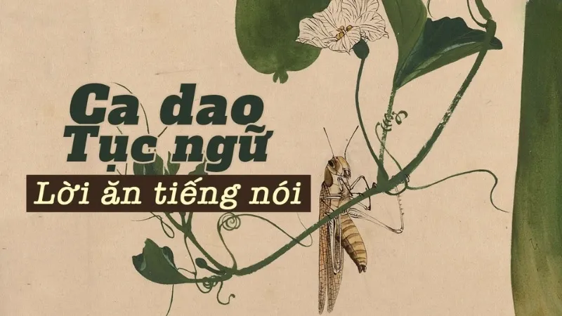 Tổng hợp 100+ câu ca dao, tục ngữ về lời ăn tiếng nói hay nhất 