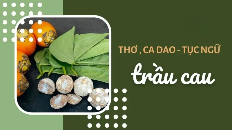 Tổng hợp những câu ca dao tục ngữ về miếng trầu hay nhất 