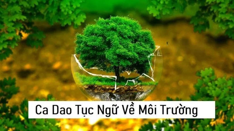 Ca dao tục ngữ về môi trường và tài nguyên thiên nhiên