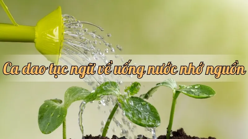 Top những câu ca dao tục ngữ về uống nước nhớ nguồn đầy ý nghĩa