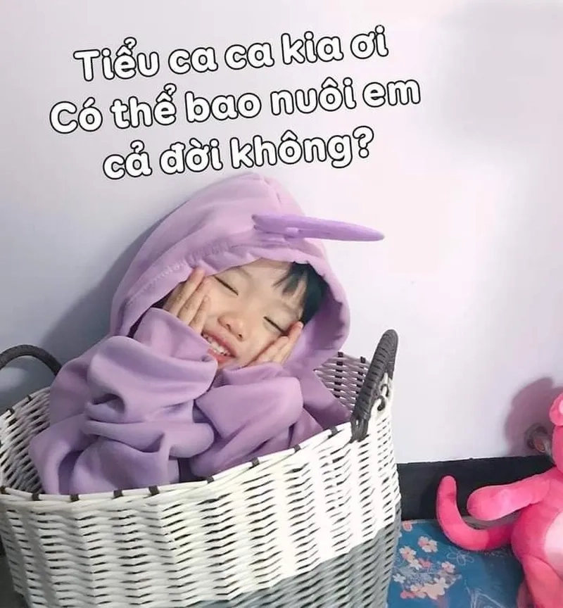 Meme em bé mặt bánh bao Hàn Quốc gây bão nhờ vào vẻ ngoài ngây thơ và biểu cảm đáng yêu.