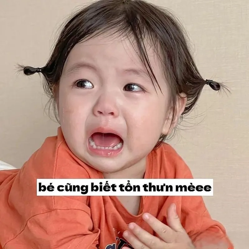 Hình ảnh meme em bé với các biểu cảm ngộ nghĩnh luôn là lựa chọn hàng đầu để chia sẻ trên mạng xã hội.