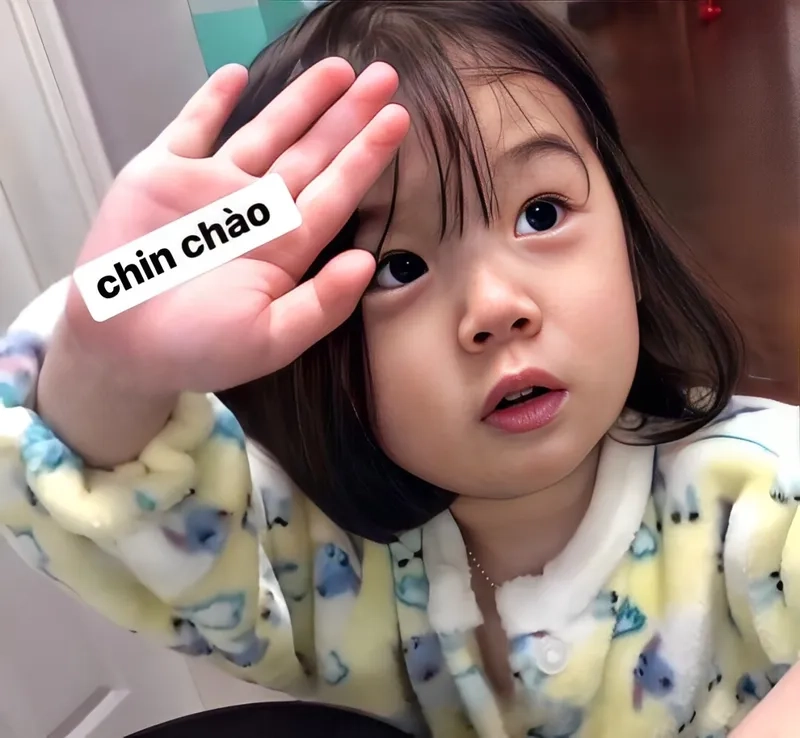 Hình ảnh xin chào meme giúp bạn gửi lời chào vui vẻ và dễ thương tới mọi người.