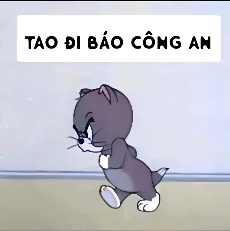 Câu chuyện 