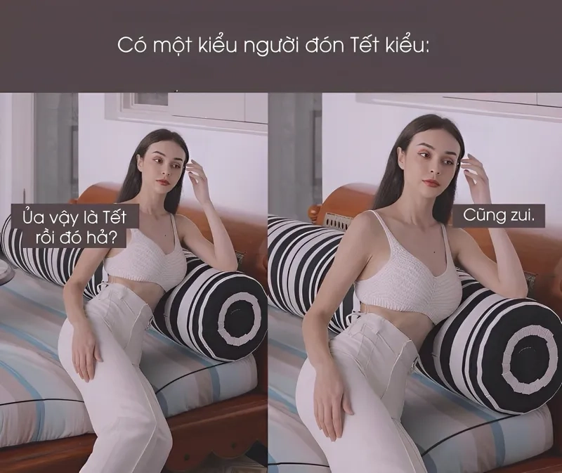 Avt mèo tết meme cực kỳ dễ thương, là lựa chọn hoàn hảo để chào đón Tết.