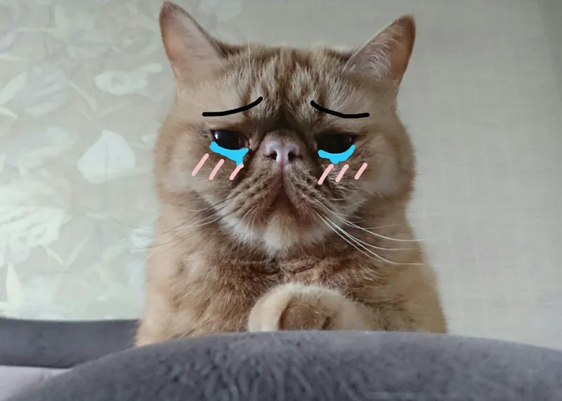 Meme crying sẽ mang lại cảm giác buồn vui hòa quyện khiến bạn phải ngạc nhiên.