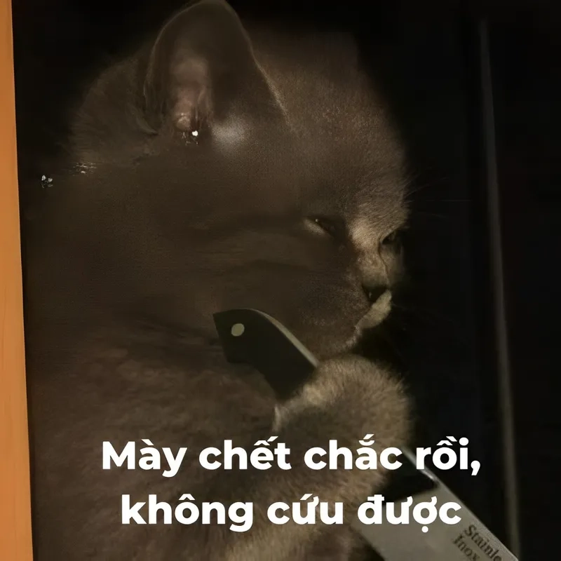 Nguồn gốc meme hết cứu mang đến câu chuyện thú vị về cách meme này ra đời và trở thành biểu tượng của sự thất bại.