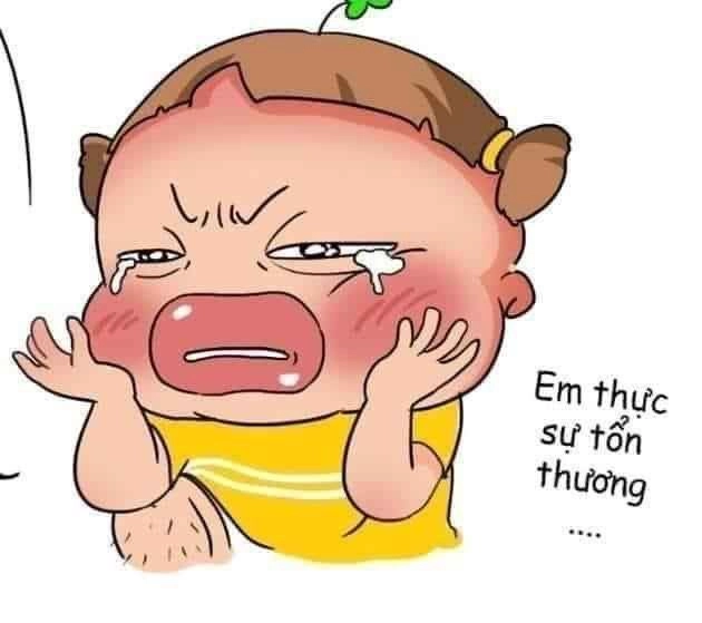 Meme mèo cute bựa cực kỳ hài hước và dễ thương, không thể bỏ qua!