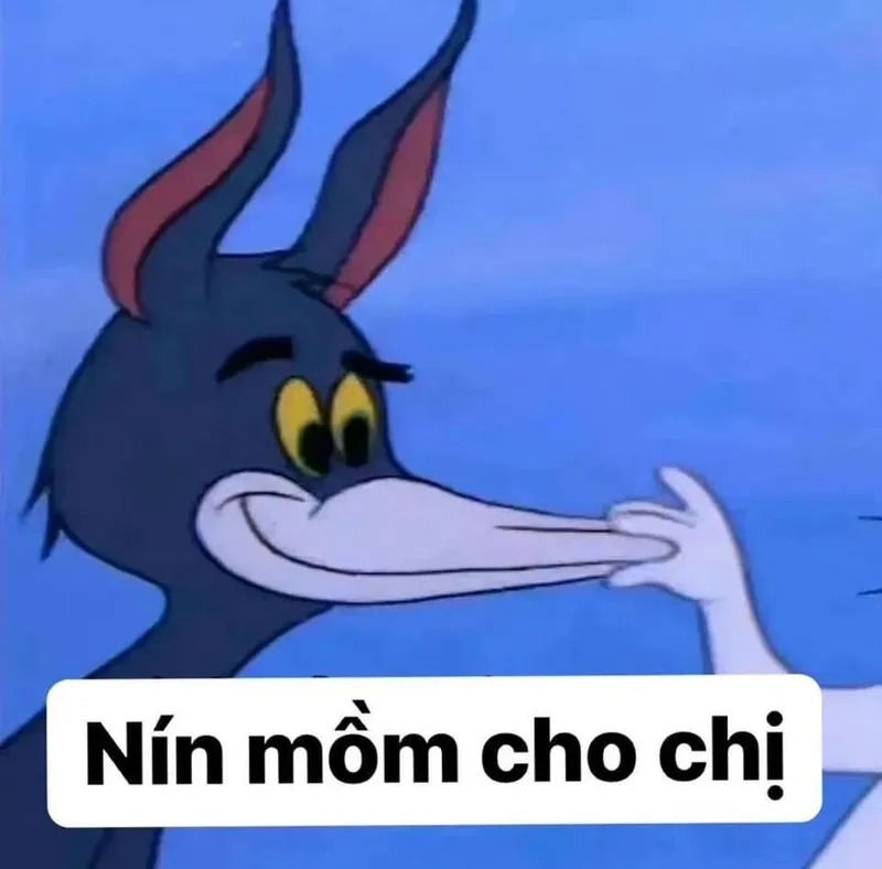 Meme mèo bựa cute cực kỳ đáng yêu, luôn đem lại những phút giây giải trí.