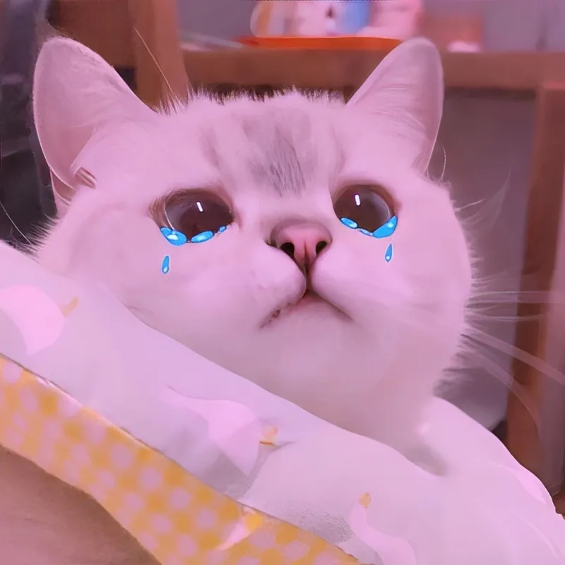 Wojak crying meme sẽ khiến bạn cảm nhận được nỗi buồn sâu sắc trong cuộc sống.