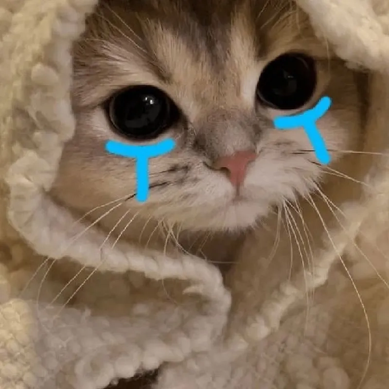 Crying meme drawing thể hiện sự buồn bã trong một cách rất sáng tạo.