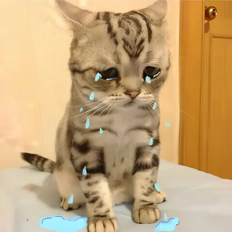 Nếu bạn là fan của Pepe crying meme, bạn sẽ không thể nhịn cười đâu!