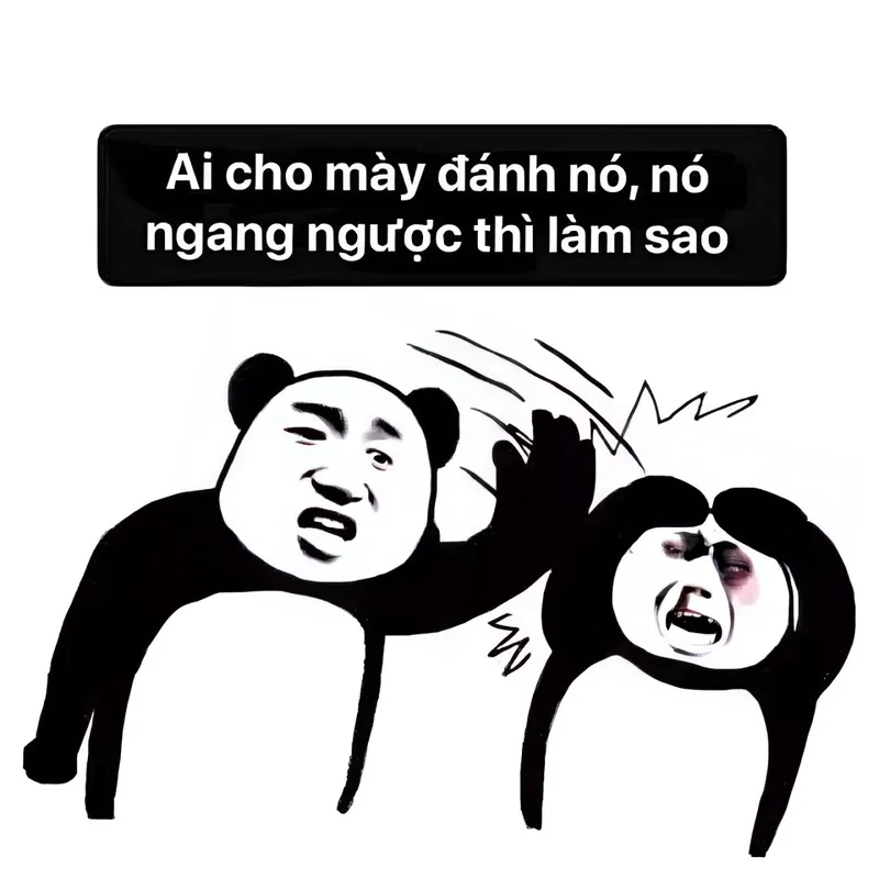 Meme gấu trúc đánh dễ thương mang đến những tình huống vui nhộn và cực kỳ đáng yêu.