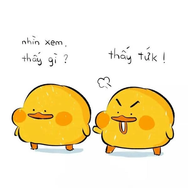 Meme đánh lộn là những pha tranh đấu không khoan nhượng, nhưng lại đầy hài hước và lầy lội.