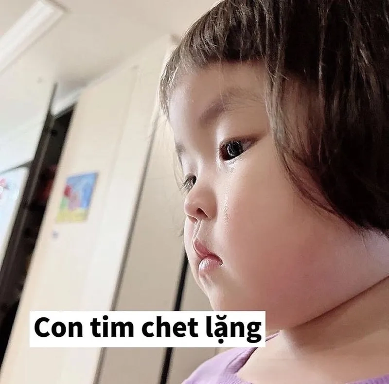 Những bức ảnh em bé cute trong các meme luôn khiến bạn phải “tan chảy” vì sự đáng yêu.