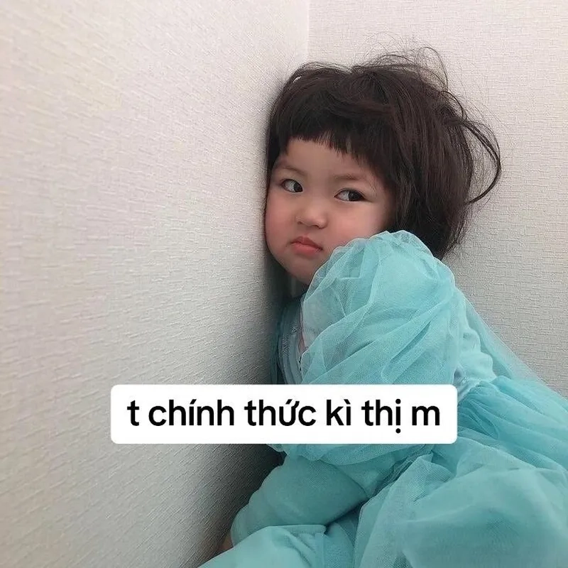 Meme em bé cute luôn có sức hút mạnh mẽ, khiến mọi người không thể nhịn cười mỗi khi nhìn thấy.