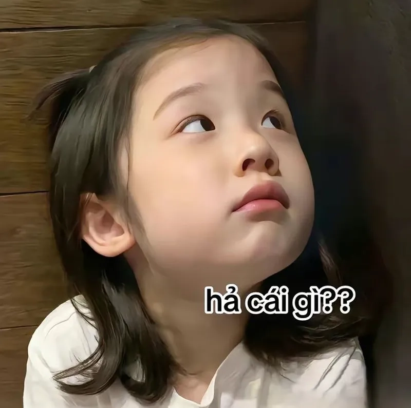 Những bức ảnh meme cute em bé với biểu cảm ngộ nghĩnh chắc chắn sẽ khiến bạn cười không ngừng.