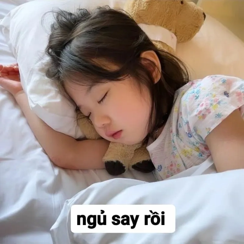 Meme ngủ ngon dễ thương sẽ là cách tuyệt vời để chúc người khác có một đêm thật ngon giấc.