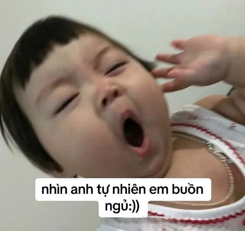 Ảnh meme mèo ngủ dễ thương sẽ khiến bạn cảm thấy nhẹ nhàng và yên bình trước khi chìm vào giấc ngủ.