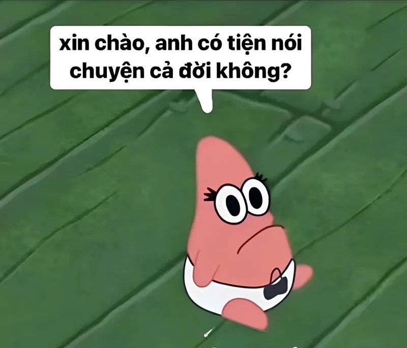 Meme mèo chào ngày mới giúp bạn bắt đầu ngày mới với một nụ cười dễ thương.