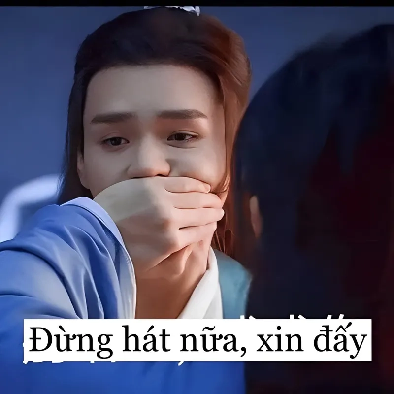 Meme mèo bựa khiến người xem phải bật cười với những hành động ngớ ngẩn của những chú mèo.