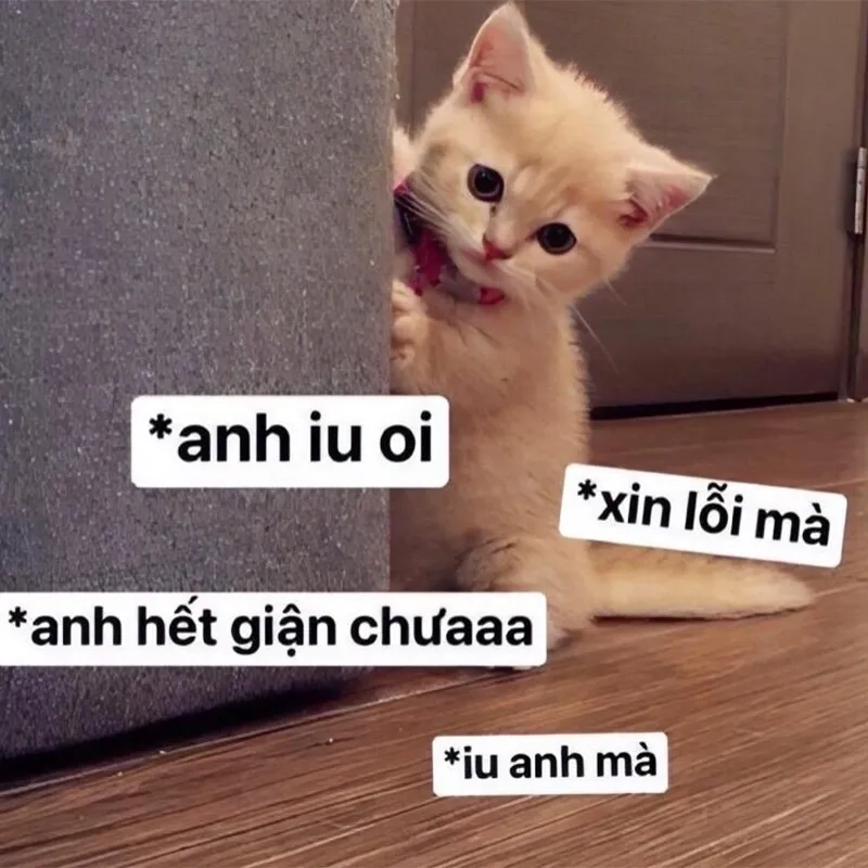 Meme nhẹ nhàng nhưng đầy hài hước, vừa xin lỗi vừa gây cười.