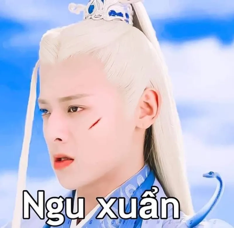 Meme thả thính Trung Quốc là cách tạo nên những câu nói và hình ảnh vừa hài hước vừa dễ thương.