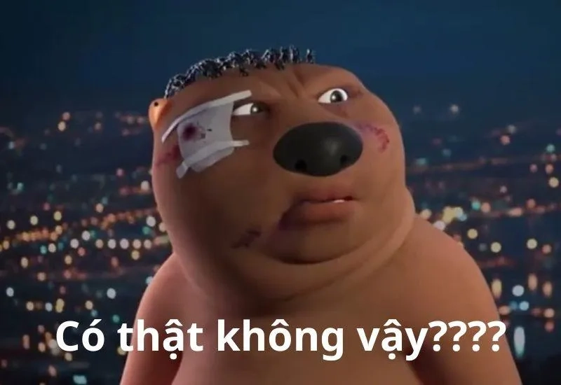 Những meme con gấu trúc Trung Quốc luôn mang lại sự dễ thương và hài hước không thể cưỡng lại!