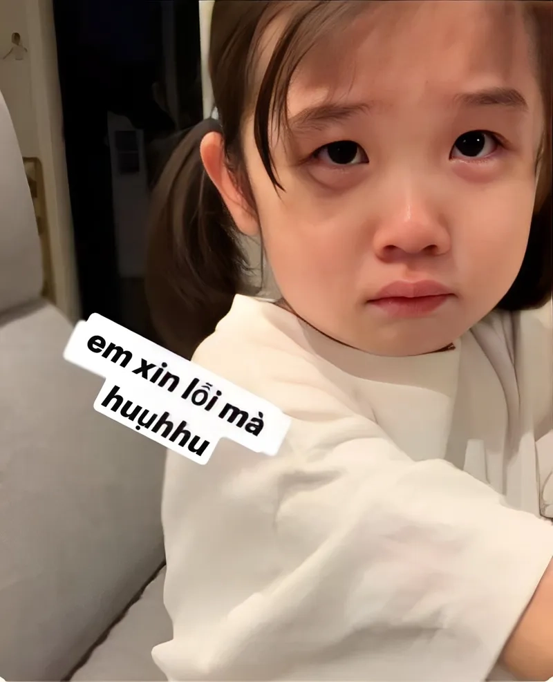 Meme tôi xin lỗi cực kỳ dễ thương, với nét hối lỗi đáng yêu.