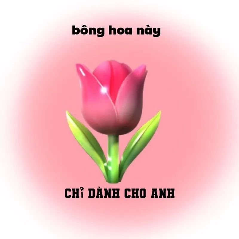 Tỏ tình crush cute meme tặng hoa khiến bạn trở nên lãng mạn hơn bao giờ hết.