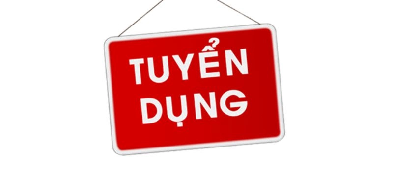 Lý do thông tin tuyển dụng VZ99 đang được quan tâm