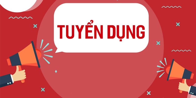 Vị trí IT đang được rất nhiều người quan tâm ứng tuyển