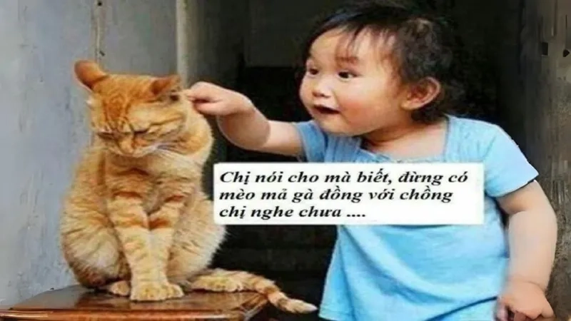 Ai cũng thích xem ảnh vui meme hài gốc để xả stress