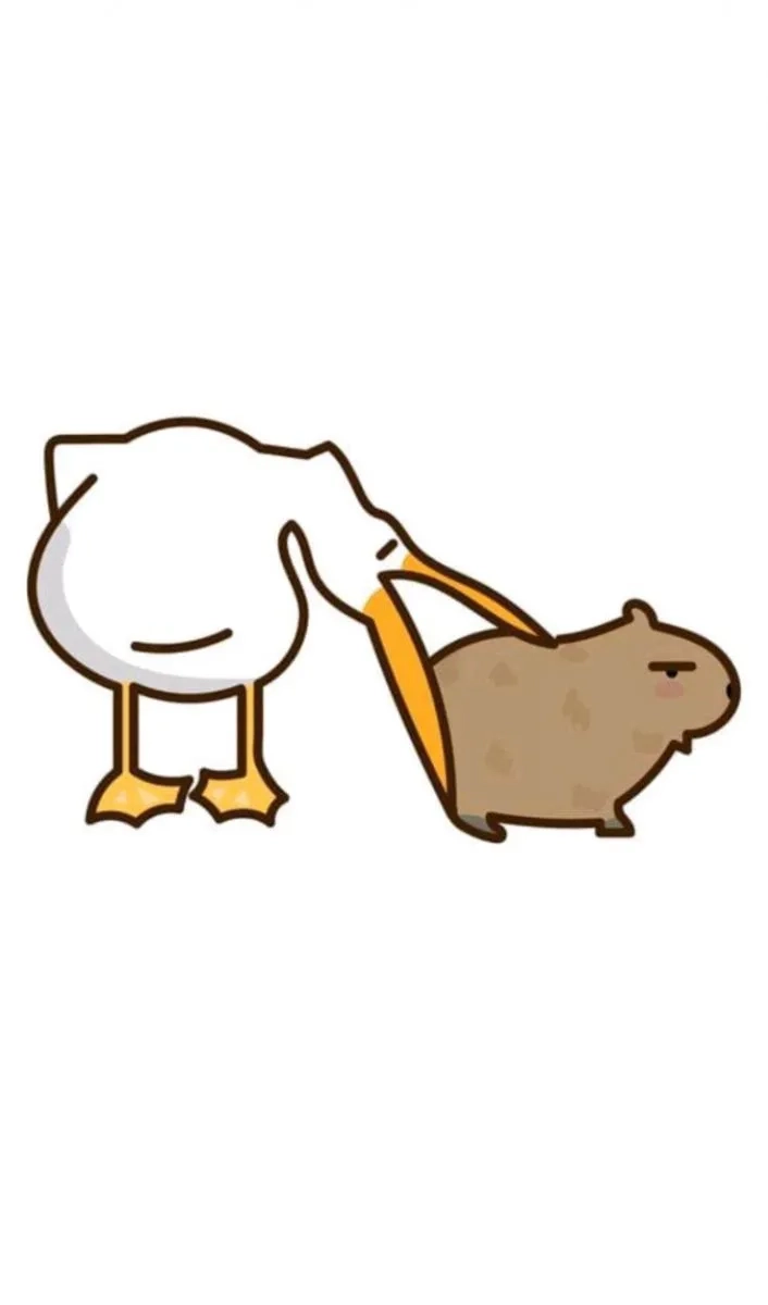 Capybara cute siêu dễ thương với vẻ ngoài đáng yêu ngộ nghĩnh