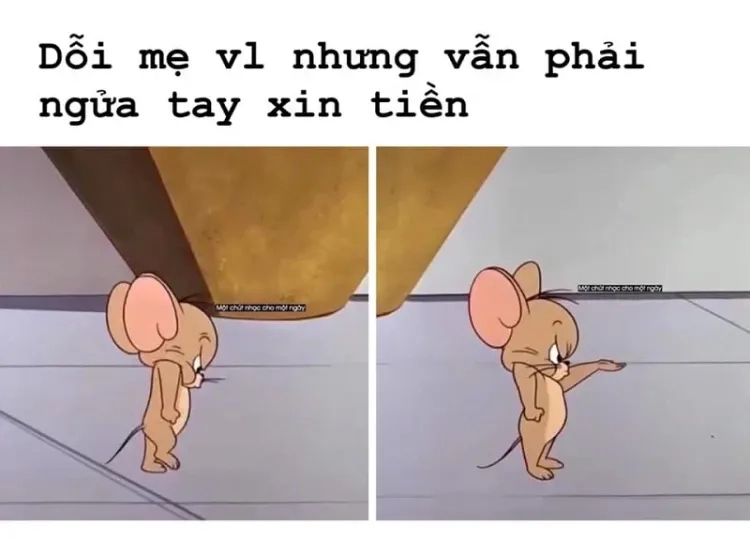 Tải ngay jerry meme hd chất lượng cao